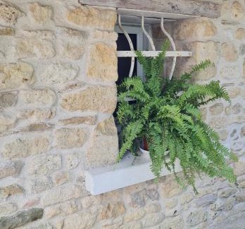 Taillant Casa | Gite L'aronde