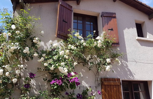 Les Chatelliers-Chateaumur Cabaña | Gîte L'eau vive - El molino de Charin - Puy du Fou