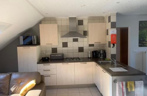 Nisramont Apartamento | Gite La Chauve-souris Maxime