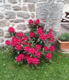 Le Malzieu-Forain Casa | Gite les ducs