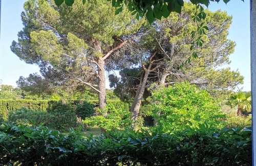 Castelnau-le-Lez Apartamento | Gîte Pic St Loup aux Coquilloux between nature and swimming pool, 10 minutes from the beach