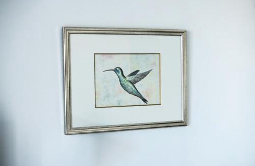 La Salvetat-Saint-Gilles Apartamento | Gite Studio Le Colibri