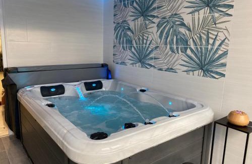 Saint-Jean-de-Barrou Casa | Gite Thym spa au coeur d'une oliveraie des Corbières