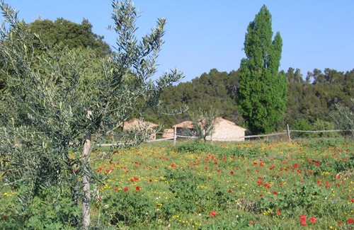 Flayosc Casa | Gites de Fontroussière
