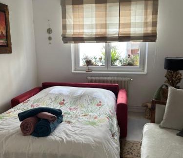 Selestat Apartamento | Gites des capucins centre ville Sélestat