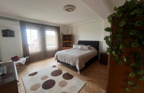 Mejë Apartamento | Gjakova Apartment