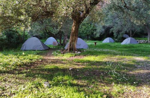 Jala Otro | Gjipe eco campground