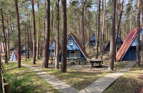 Trassenheide Casa | Glücklich am Strand - Ruhe im Kiefernwald mit Terrasse & Hundeherz willkommen