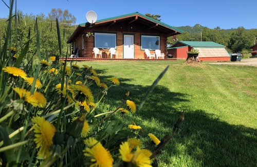 Kachemak Cabina | Vista al mar-Private Studio-Cabaña-Baño Privado