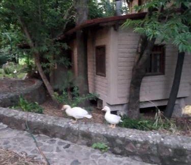 Xoxocotla Chalet De Esquí | Glamp de Lujo Teques Granja El Sol