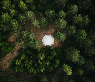 gmina Rogowo Complejo | Glamp Podróżnika i Marzyciela