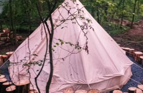 Adairsville Alquiler De RV | Glamping at Honea's Holler site 1