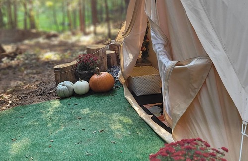 Adairsville Alquiler De RV | Glamping at Honea's Holler site 1