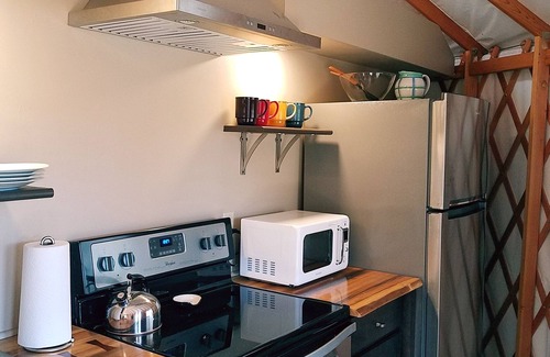 Clyde Cabina | Glamping en su máxima expresión: la yurta frente al río, a 30 minutos al oeste de Asheville