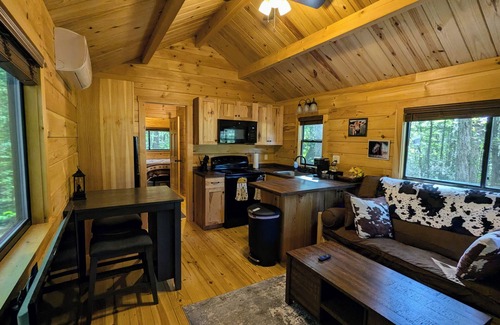 Clayton Cabina | Glamping at Tiny House! Perfect Romantic Cabin Getaway on Horse Farm