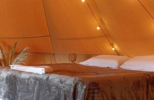 Yotoco Cabina | Glamping & Cabaña con Paddle, ducha al aire libre, Pet-friendly - Oasis junto al Lago