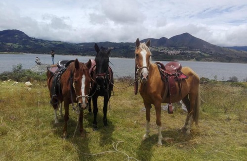 Guatavita Otro | Glamping Cabaña San Martin