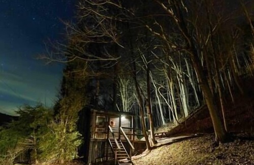 Lynx Cabina | Glamping Cabin | Huge Window | Nature Lovers Dream