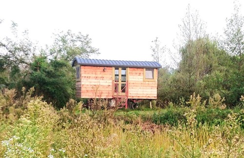 Albairate Casa | Glamping Casetta sul lago 2