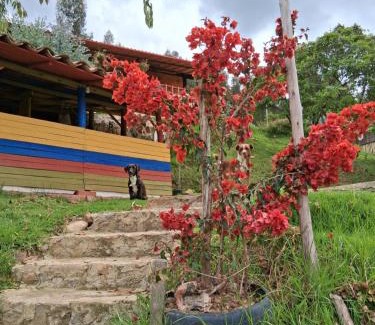 Duitama Casa | Glamping colina campestre ecológica