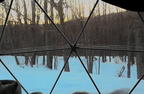 Mountain Base Casa | Glamping Dome # 2 in Snowshoe, Wv