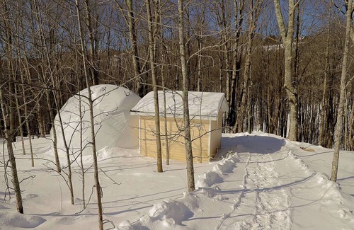 Mountain Base Casa | Glamping Dome #3 in Snowshoe WV