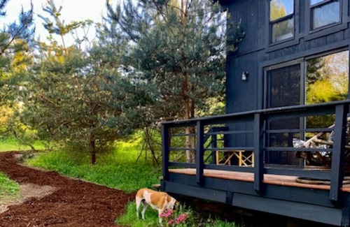 Rolling Prairie Cabina | Glamping experience on an organic farm in Harbor Country.