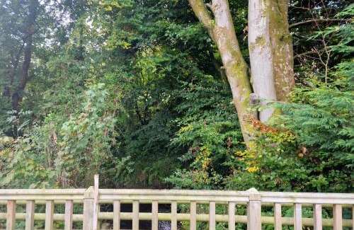 Llanfair Caereinion Casa | Glamping Hut - Riverside 1