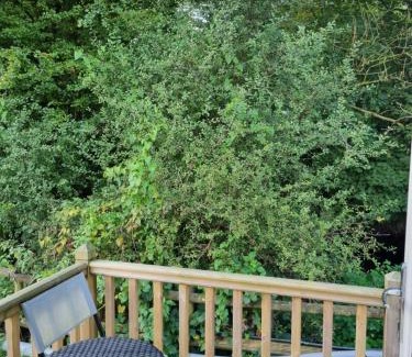 Llanfair Caereinion Chalet De Esquí | Glamping Hut - Sleeps 2 hot tub & parking