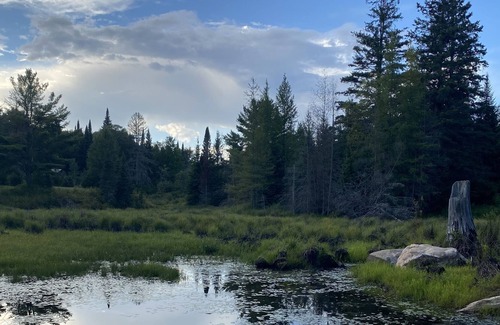 Gooderham Cabina | Glamping in luxury