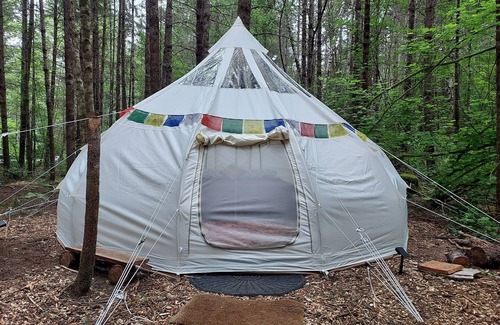 Belfair Alquiler De RV | Glamping in the magical forest of Elfendahl.