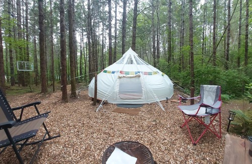 Belfair Alquiler De RV | Glamping in the magical forest of Elfendahl.