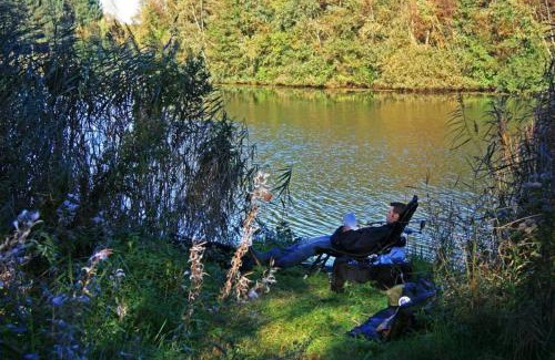 Heusden Gem Asten Otro | Glamping met bar en privé sanitair voor 5 Personen Sneezy