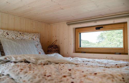 Golcuv Jenikov Otro | Glamping Meze