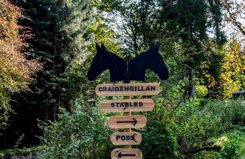 Kirkmichael Chalet De Esquí | Glamping Pod 2 Magical Craigengillan Estate