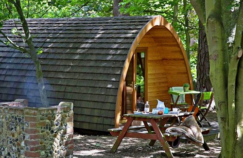 West Stow Casa | Pod Glamping en Bosque Bury St Edmunds