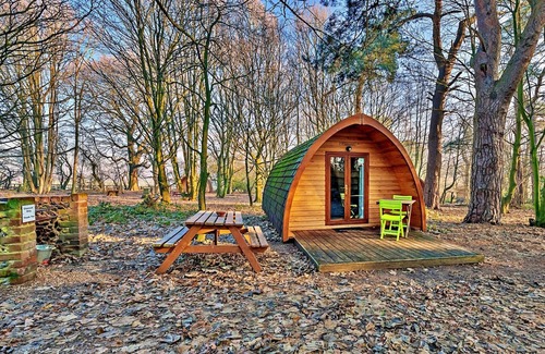 West Stow Casa | Pod Glamping en Bosque Bury St Edmunds