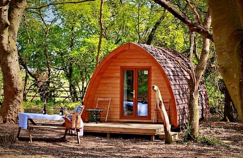 West Stow Casa | Glamping en Bosque de Suffolk