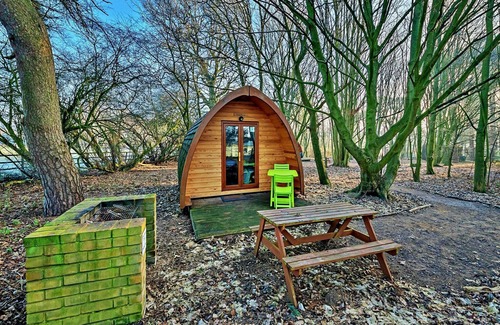 West Stow Casa | Glamping en Bosque de Suffolk