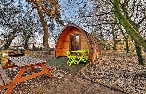 West Stow Casa | Glamping en Bosque de Suffolk