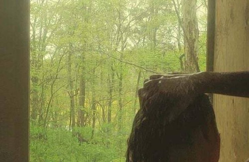 West Baden Springs Casa | Glamping Retreats with Dinner Included at this Amazing West Baden Springs Tree House Rental