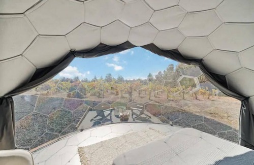 Felton Alquiler De RV | Hilltop Vineyard 1 Room
