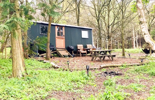 Holt Cabina | Glamping Shepherds Hut in Holt Hollow, Rural North Norfolk, Dog Friendly