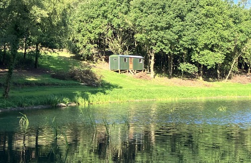 Holt Cabina | Glamping Shepherds Hut in Holt Hollow, Rural North Norfolk, Dog Friendly