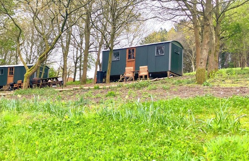 Holt Cabina | Glamping Shepherds Hut in Holt Hollow, Rural North Norfolk, Dog Friendly