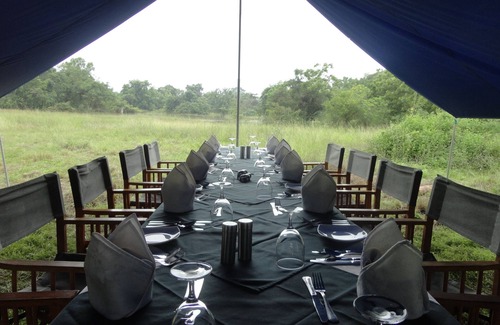 Nochchiyagama Alquiler De RV | Glamping Tent. Just5 min to Wilpattu Park Gate