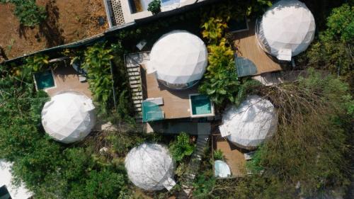 Playa Ocotal Otro | Glamping Tortuga Verde
