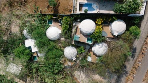 Playa Ocotal Otro | Glamping Tortuga Verde