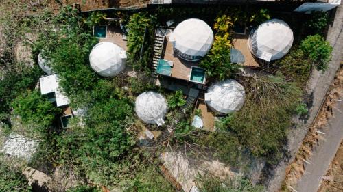 Playa Ocotal Otro | Glamping Tortuga Verde