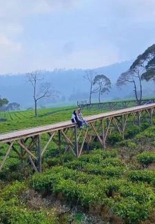 Pangalengan Otro | Glamping umi
